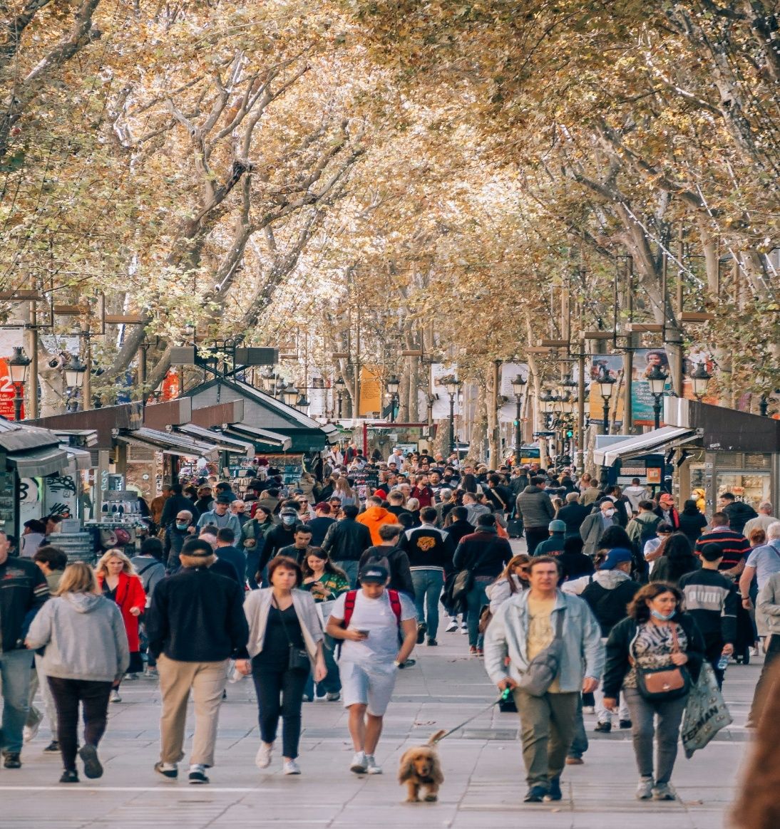 La Rambla | Principali attrazioni di Barcelona | Habitat Apartments