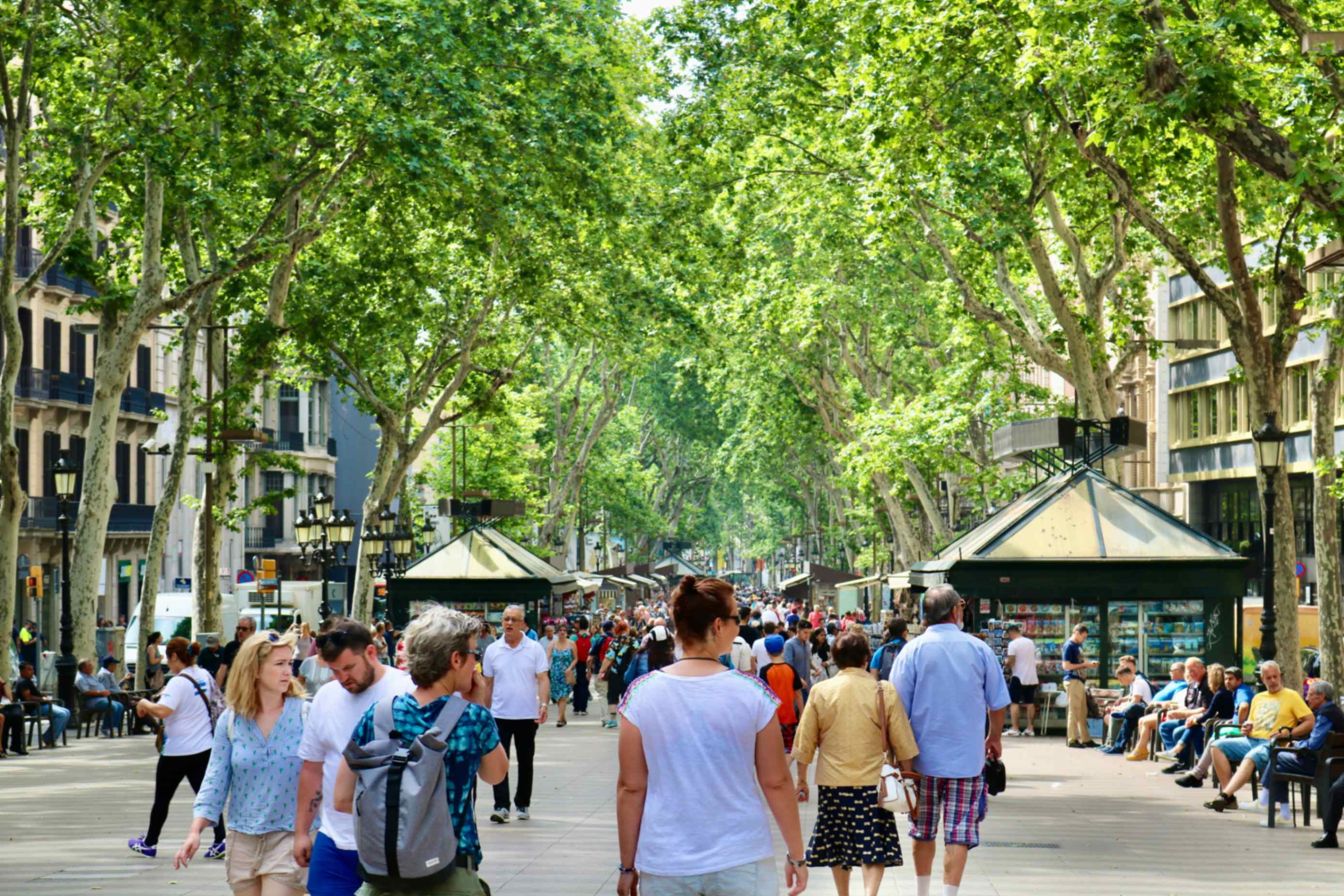 Las Ramblas Barcelona | What to do in Barcelona | Habitat Apartments